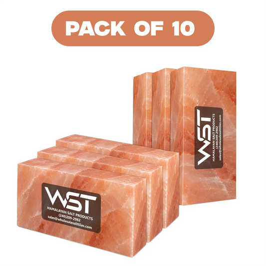 8x4x2 Himalayan pink salt bricks pack of 10