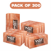 Pack of 300 Bricks