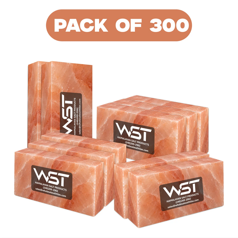Himalayan Pink Salt Bricks 8 x 4 x 2 in — Pack of 300