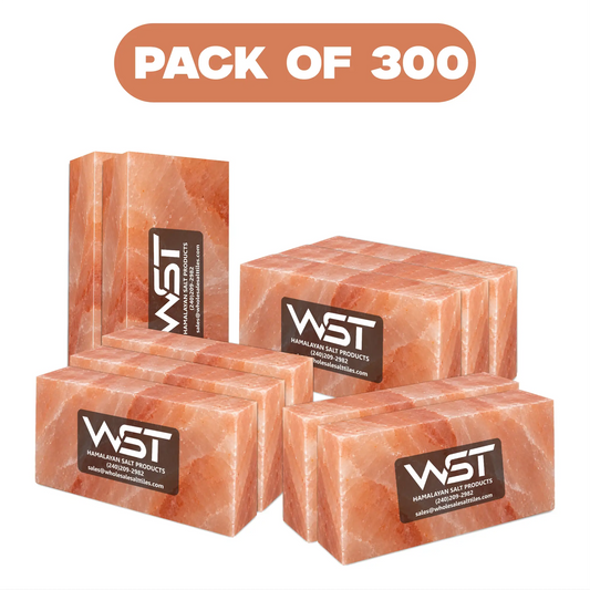8x4x2 Himalayan salt bricks pack of 300