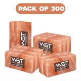 8x4x2 Himalayan salt bricks pack of 300