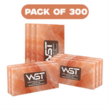 Himalayan Salt Tiles Pack of 300