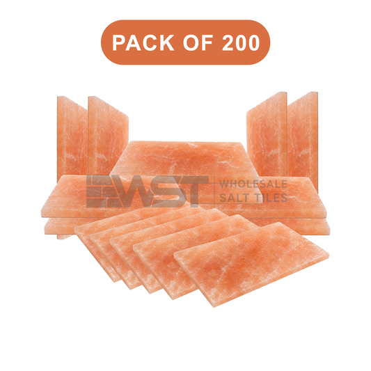 Himalayan Pink Salt Tiles 8x4x0.75 Pack of 200