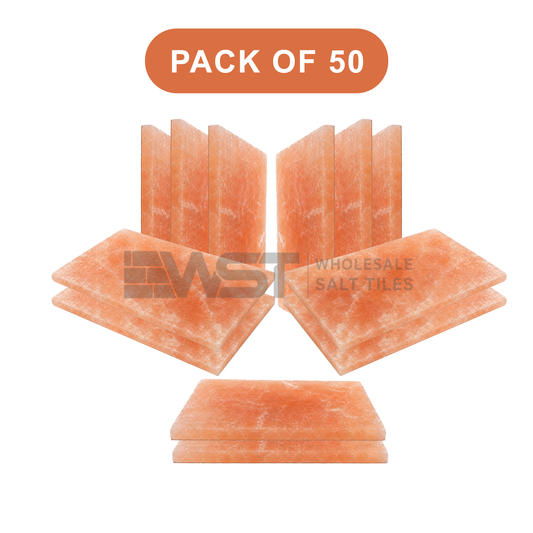 Himalayan Pink Salt Tiles 8x4x0.75 Pack of 50