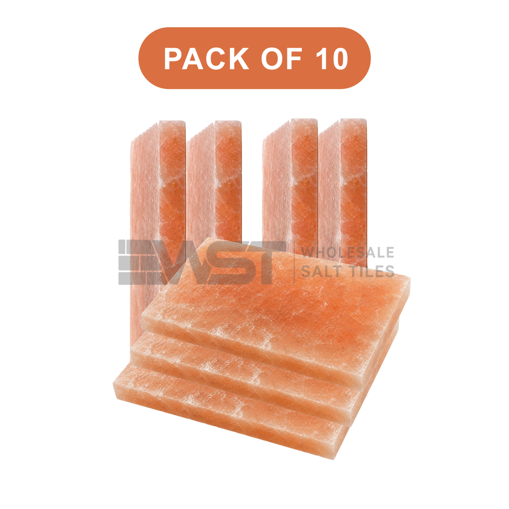 Himalayan Pink Salt Tiles 8x4x1 Pack of 10