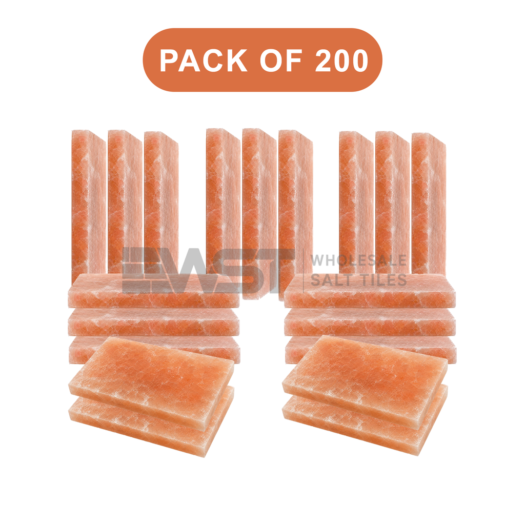 Himalayan Pink Salt Tiles 8x4x1 Pack of 200