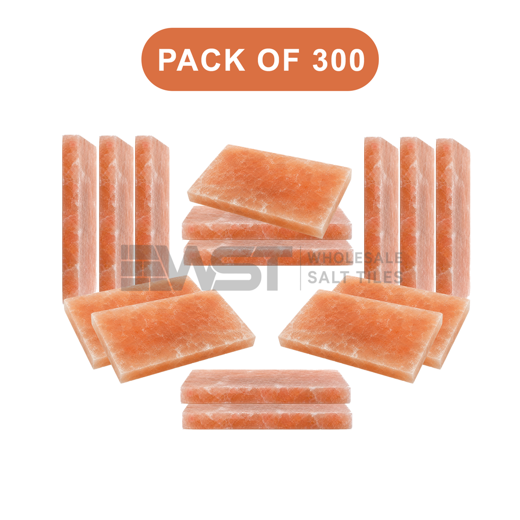 Himalayan Pink Salt Tiles 8x4x1 Pack of 300