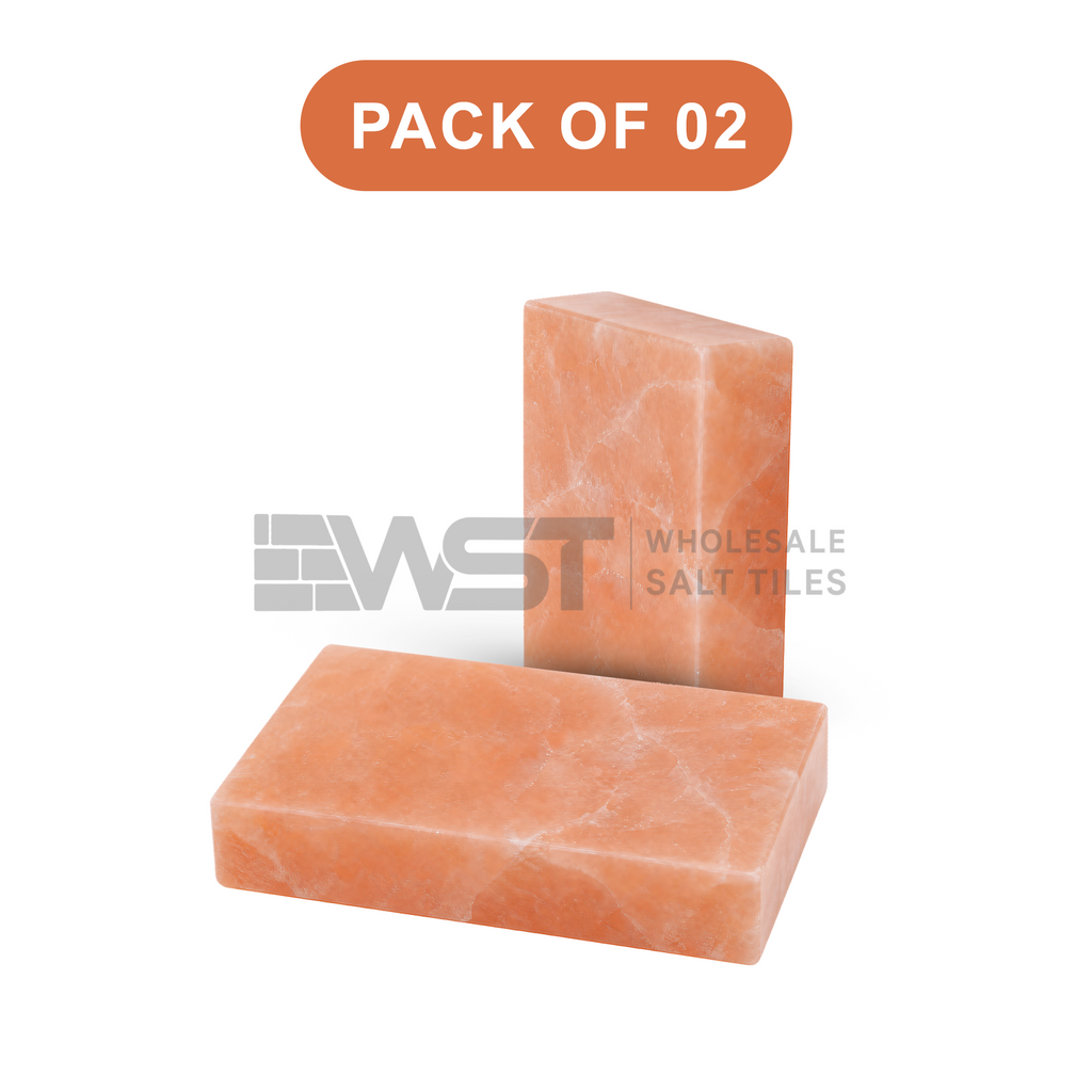 Himalayan Pink Salt Bricks 8x4x2 Pack of 2