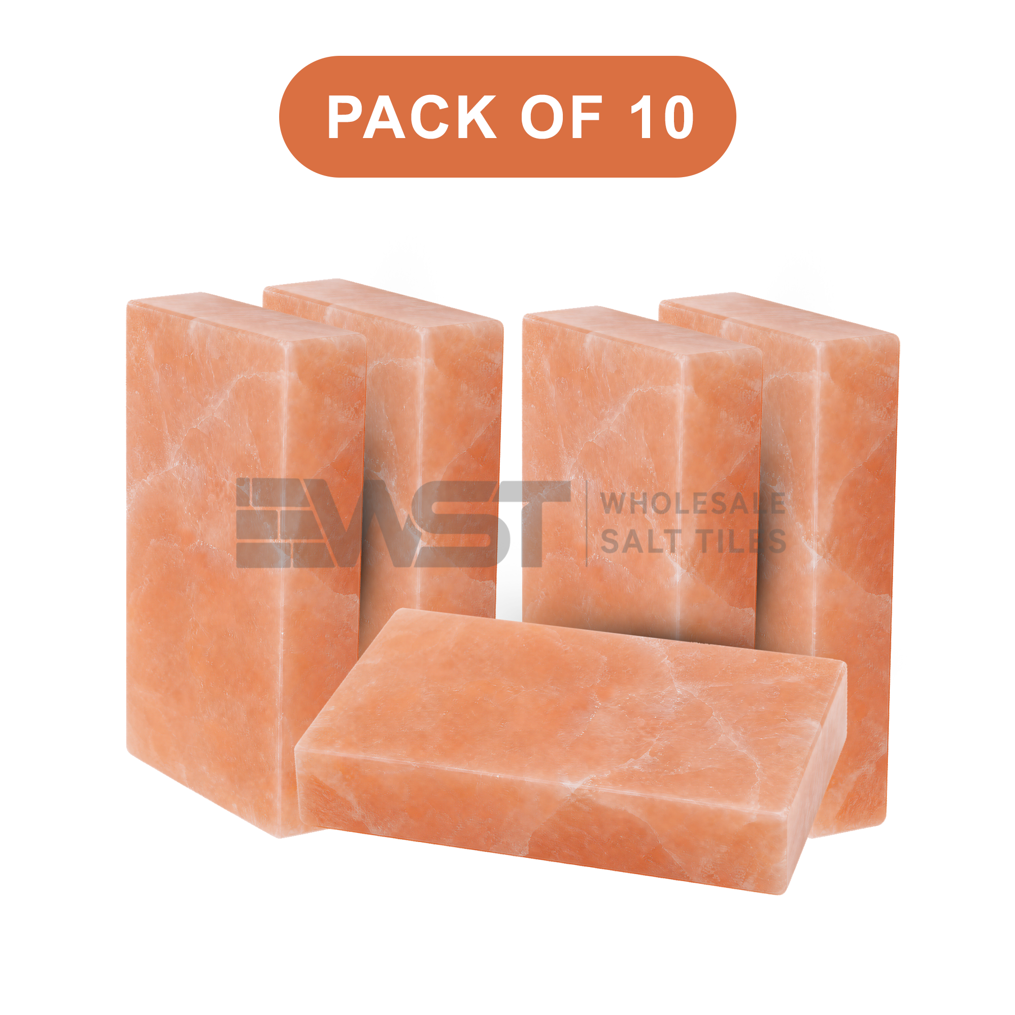 Himalayan Pink Salt Bricks 8x4x2 Pack of 10
