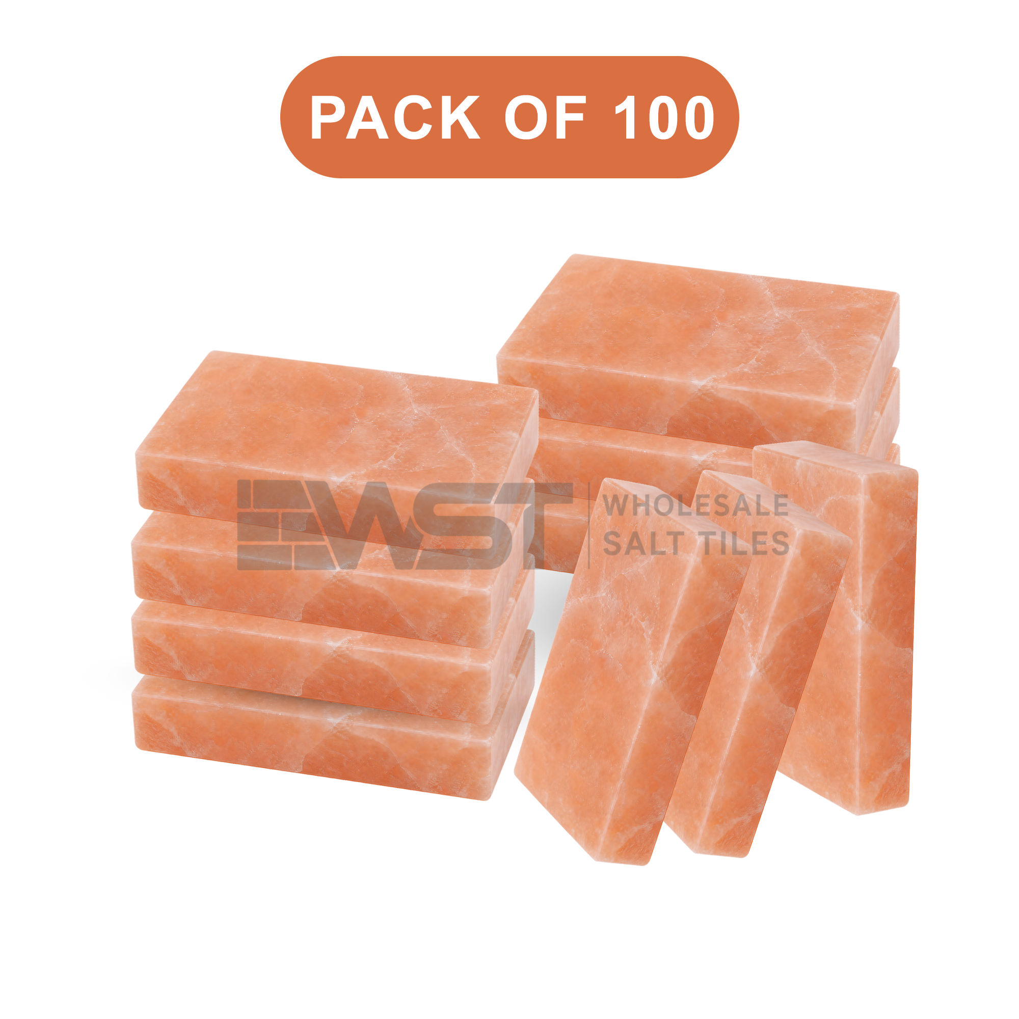 Himalayan Pink Salt Bricks 8x4x2 Pack of 100