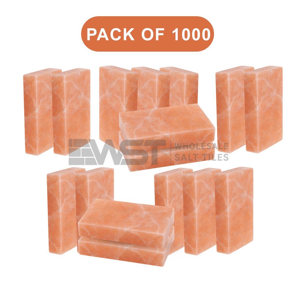 Himalayan Pink Salt Bricks 8x4x2 Pack of 1000
