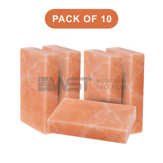 Himalayan Pink Salt Bricks 8x4x2 Pack of 10