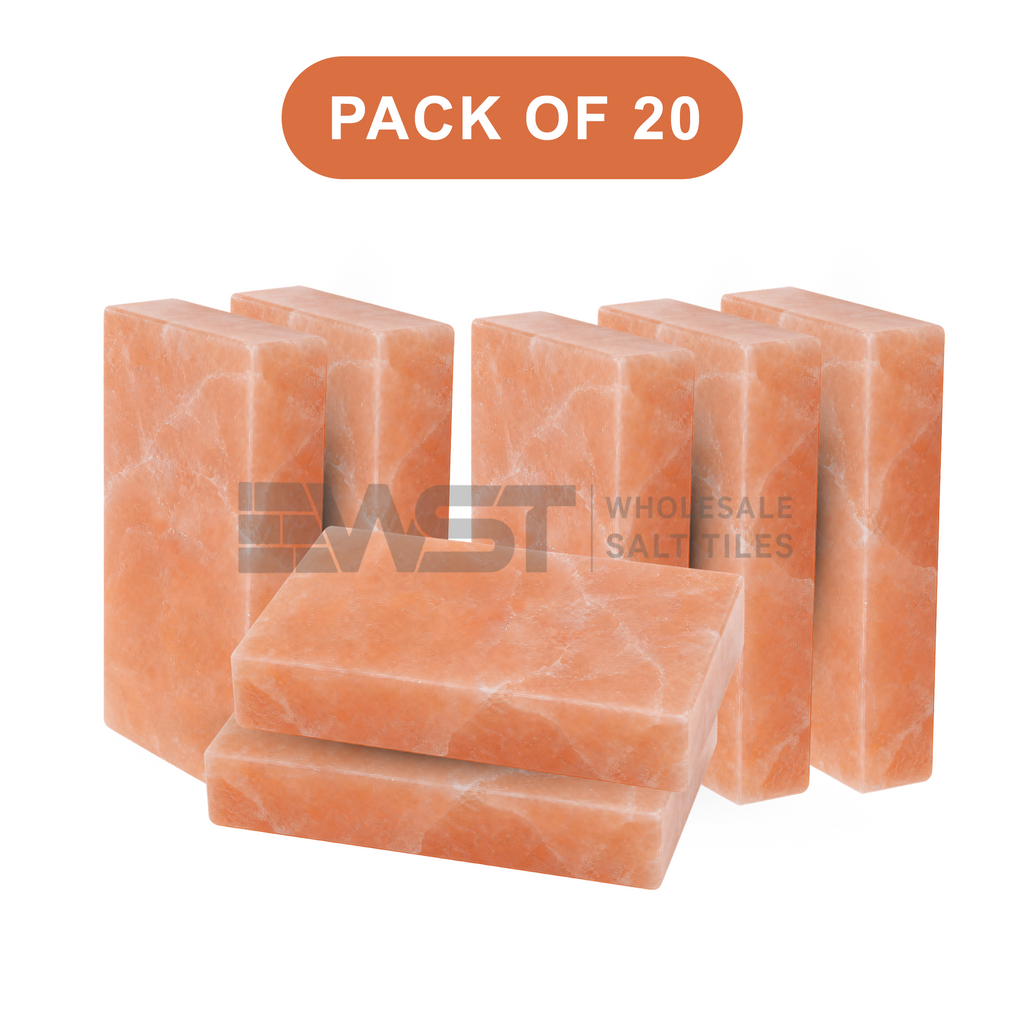 Himalayan Pink Salt Bricks 8x4x2 Pack of 20