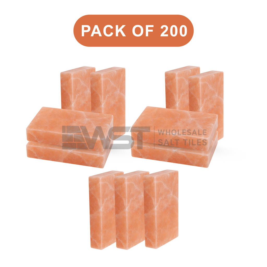 Himalayan Pink Salt Bricks 8x4x2 Pack of 200
