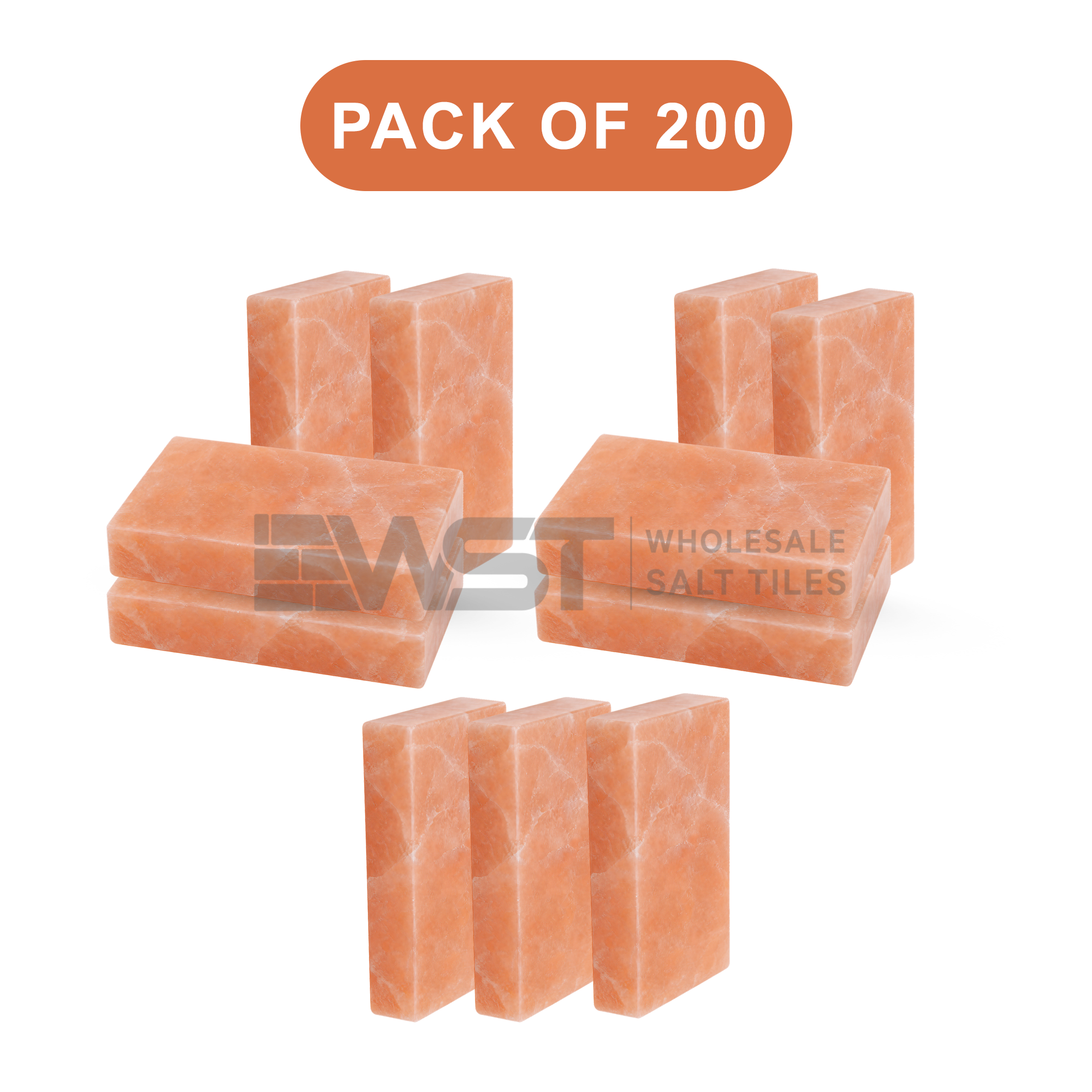 Himalayan Pink Salt Bricks 8x4x2 Pack of 200
