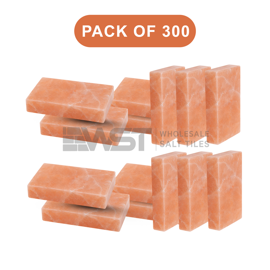 Himalayan Pink salt Bricks 8x4x2 Pack of 300