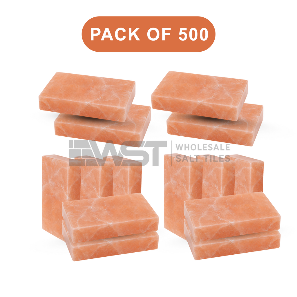 Himalayan Pink Salt Bricks 8x4x2 Pack of 500