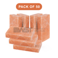 Himalayan Pink Salt Bricks 8x4x2 Pack of 50