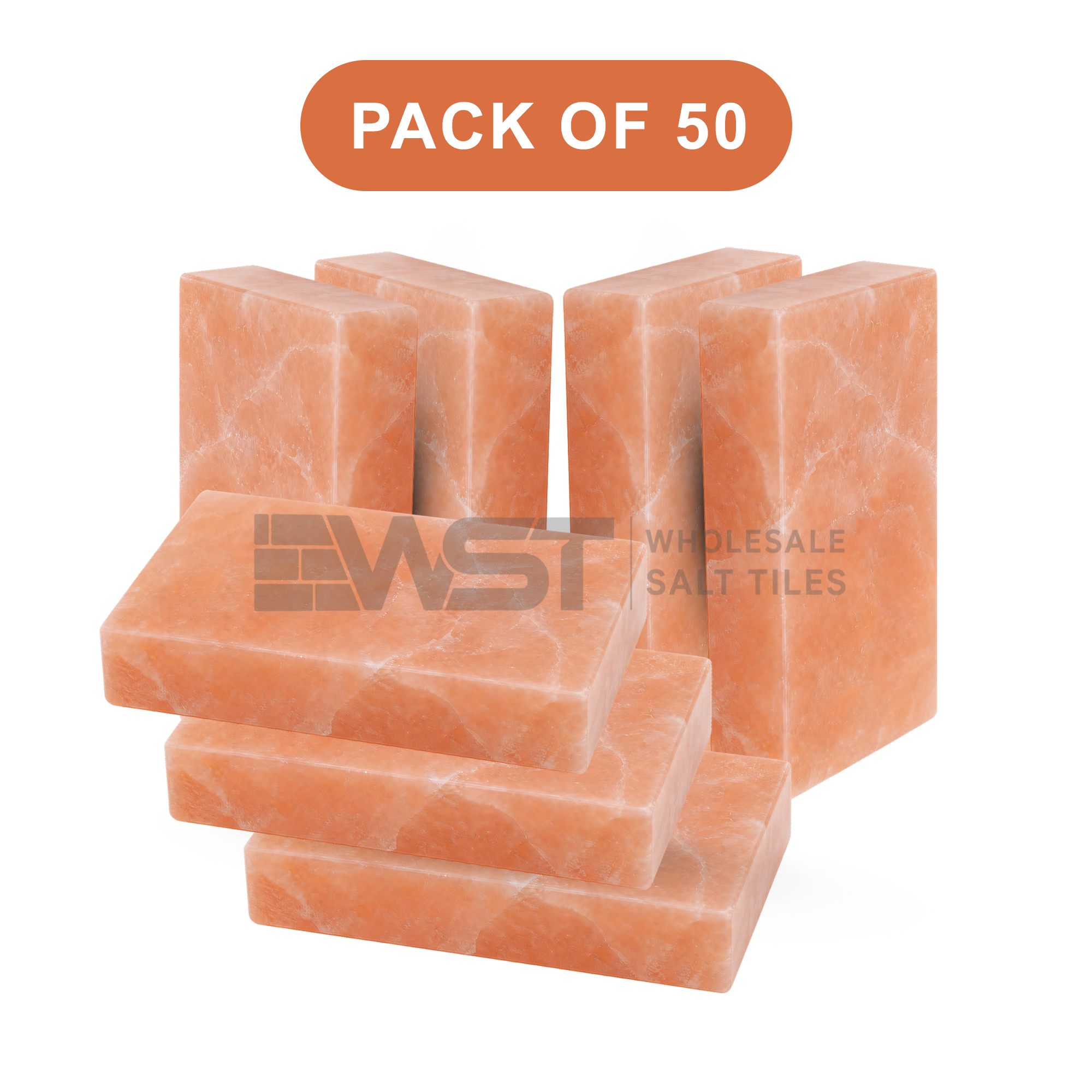 Himalayan Pink Salt Bricks 8x4x2 Pack of 50