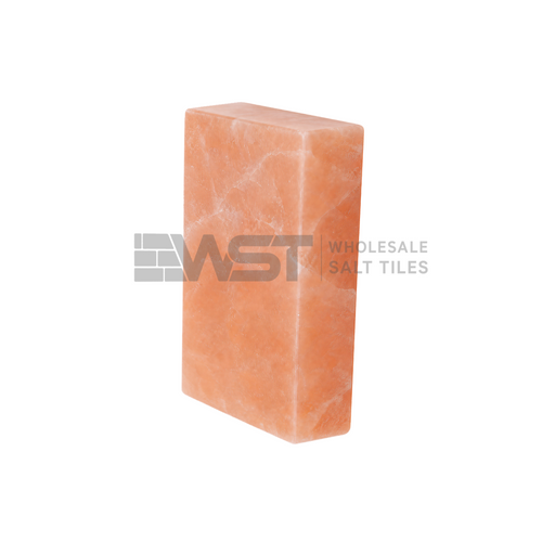Himalayan Pink Salt Bricks 8x4x2 Pack of 100