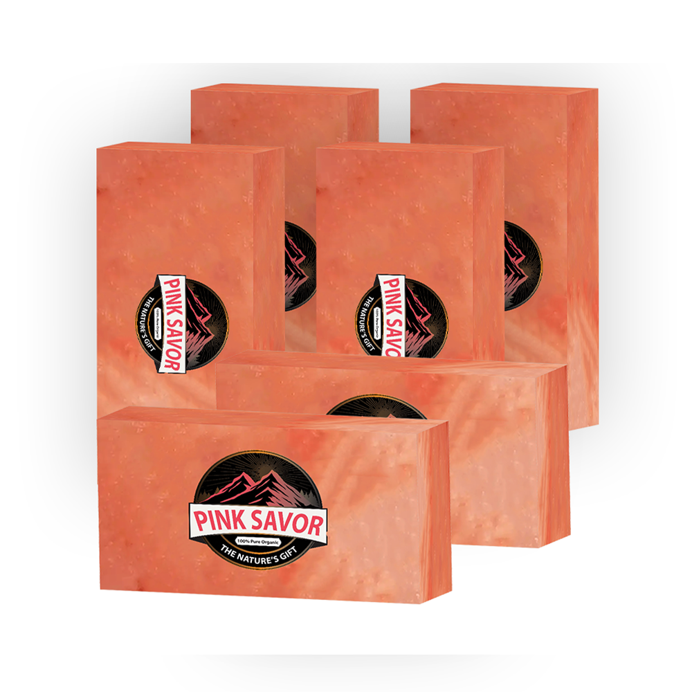 Himalayan Pink Salt Bricks 8x4x2 Pack of 10